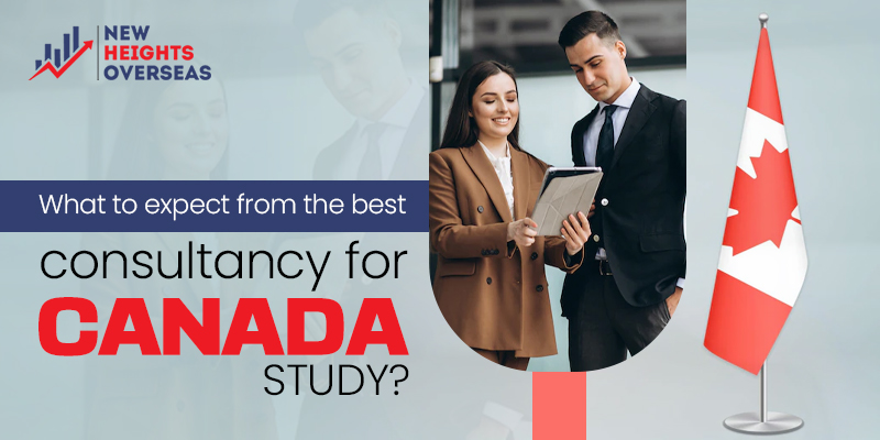 best consultancy for canada study